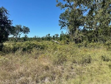 0 NE 35th Ave unit MFRGC535346, Bronson, FL 32621 - photo 3