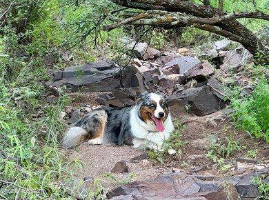 00 Proctor Ln unit D-1, Patagonia, AZ 85624 - photo 3