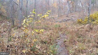 180 Spring Hollow Ln, Great Cacapon, WV 25422 - photo 2