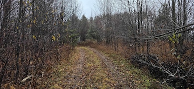 0 Countyroad Ww, Merrill, WI 54452 - photo 7