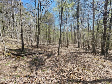 170 Bluff View Rd, New Tazewell, TN 37825 - photo 3