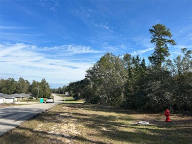 0 SW Marion Oaks Ln unit MFRO6171762, Ocala, FL 34473 - photo 6