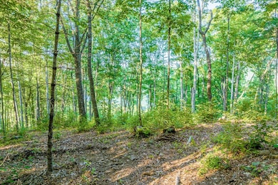 8 S Ridgeline Rd, Cullowhee, NC 28723 - photo 7