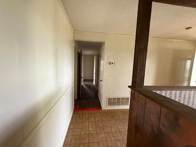 23205 County Road 2159, Troup, TX 75789 - photo 5