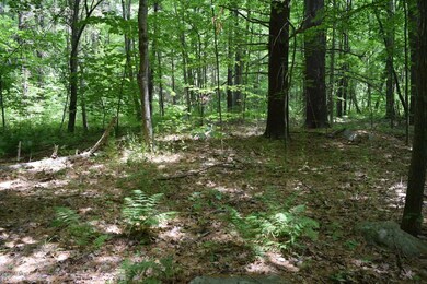 unlisted-address, Great Barrington, MA 01230 - photo 6