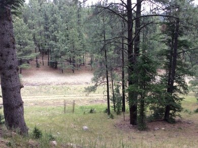 20 Little John, Mayhill, NM 88339 - photo 4