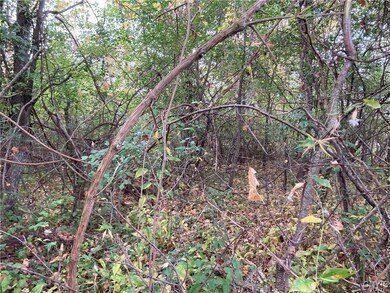 NE of E Main Street E Main St, Sackets Harbor, NY 13685 - photo 7