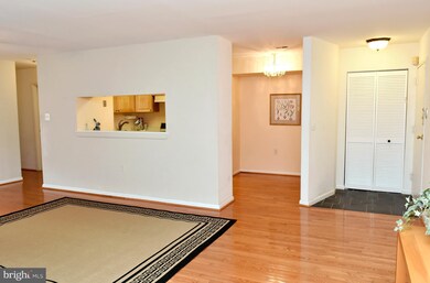 1706 Mount Washington Ct unit D, Baltimore, MD 21209 - photo 6