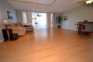 Living Area/Patio
