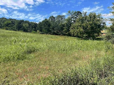 TBD Stagecoach Rd, Staunton, VA 24401 - photo 2