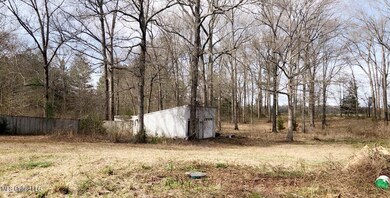 IMG_0317