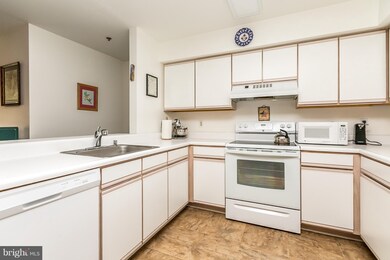 520 Mcmanus Way unit C1, Towson, MD 21286 - photo 7