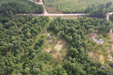 2909 La Hwy 960, Clinton, LA 70791 - photo 3