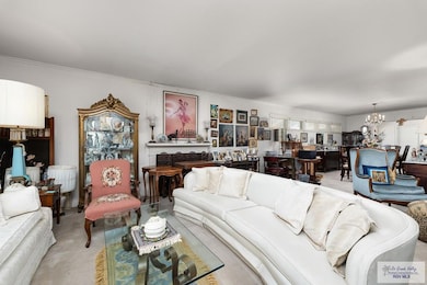 275 Calle Cenizo, Brownsville, TX 78520 - photo 4