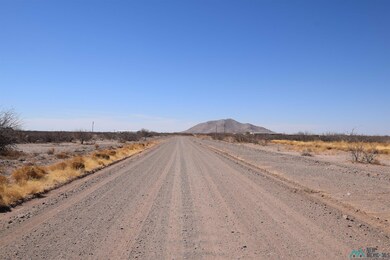 0 Alamosa Rd Se Lot 5 unit 20251179, Deming, NM 88030 - photo 2