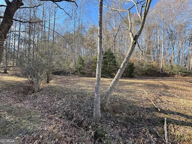 0 Duncan Bridge Rd unit 10645363, Cleveland, GA 30528 - photo 7