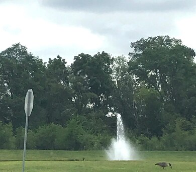 302 Academy Ave, Matteson, IL 60443 - photo 5