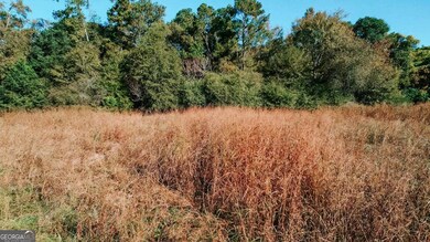 2 Callaway Dr, Crawford, GA 30630 - photo 7