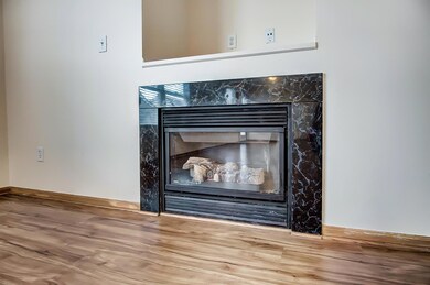 GAS FIREPLACE