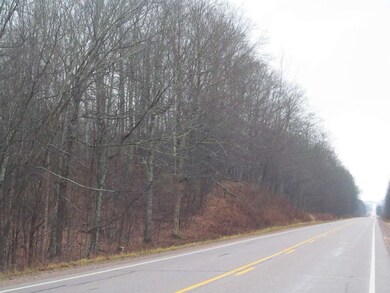 39.5 ON State Highway 52, Aniwa, WI 54408 - photo 7