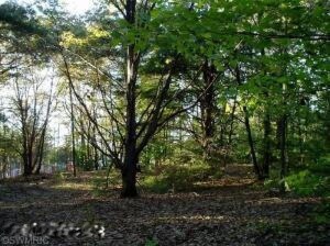 0 Hiawatha Dr, West Olive, MI 49460 - photo 2