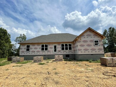 249 Saddlebrook Dr, Hohenwald, TN 38462 - photo 7