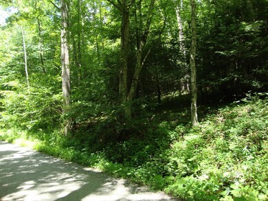 0 Zinks Mill School Rd unit 298900, Montebello, VA 24464 - photo 3