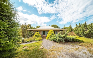 295 Panthers Den Rd, Makanda, IL 62958 - photo 5