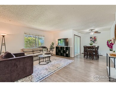 1113 Elysian Field Dr unit A, Lafayette, CO 80026 - photo 3