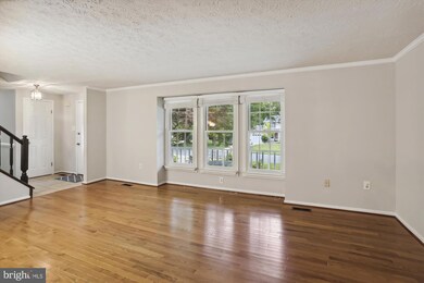 1125 Windmill Ln, Silver Spring, MD 20905 - photo 7