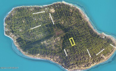L33 B5 Caribou Island_2