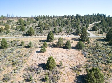 0 Drews Rd unit 25675543, Chiloquin, OR 97639 - photo 5