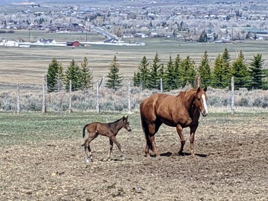 4 IMG_20200420_113803