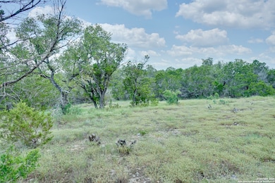 447 Coyote Trail, Spring Branch, TX 78070 - photo 2