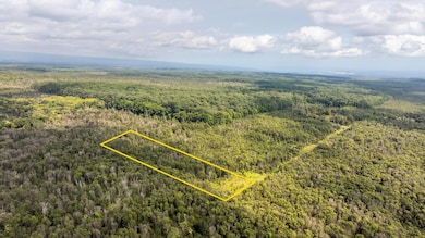 18-1854 Kuahiwi Rd, Mountain View, HI 96771 - photo 2