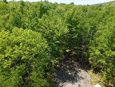 DJI_20250603122910_0006_D