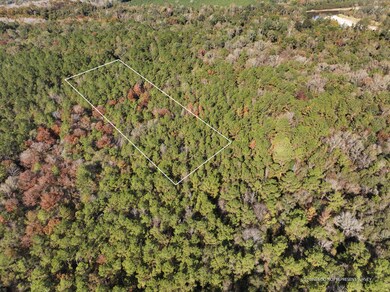 Old_Hwy_24_W_Lot_31-2