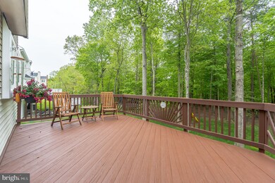 19 Brittany Ln, Stafford, VA 22554 - photo 7