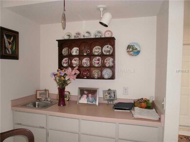 26328 Copiapo Cir, Punta Gorda, FL 33983 - photo 5