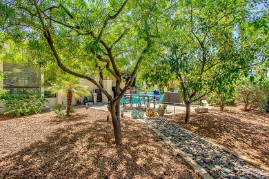 57-Monte backyard