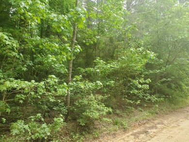 Lot 3 Magnolia Springs, Plantersville, TX 77363 - photo 2