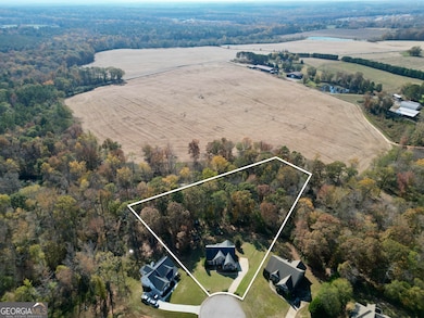 196 Magnolia Trace, Milner, GA 30257 - photo 6