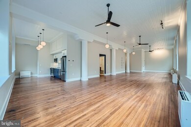 303 N Howard St unit 204, Baltimore, MD 21201 - photo 5