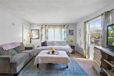 22521 State Route 163, Genoa, OH 43430 - photo 6