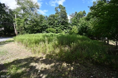 151 Monroe Trail, Hopatcong, NJ 07843 - photo 6