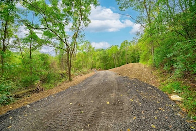 Tract 12 Indiana 156, Patriot, IN 47038 - photo 5