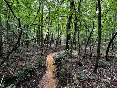 Highway 25, Fulton, MS 38843 - photo 4