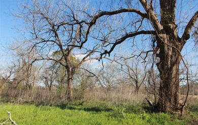 2345 County Road 315, Brazoria, TX 77422 - photo 5