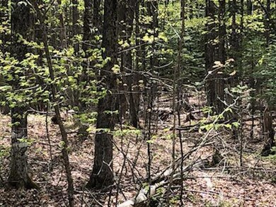 Lot 19 Shore Rd, Dexter, ME 04930 - photo 3