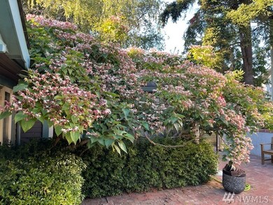 90 Nichols St unit 5, Friday Harbor, WA 98250 - photo 7